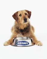 Old Navy Mascot, Magic